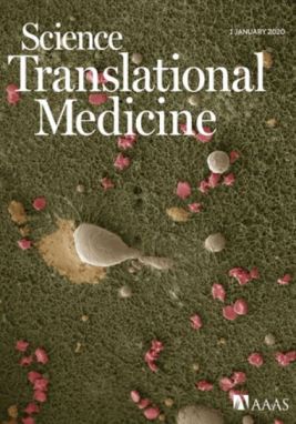 Science Translational Medicine January 1 2020 cover