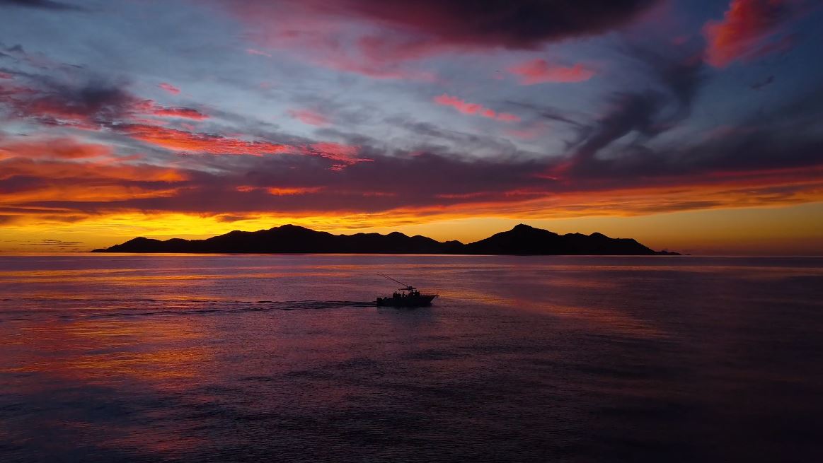 SESEL SA - These are the Seychelles travel video by Dennis Schmelz January 20 2020