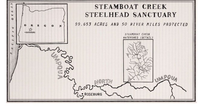 Nature Videos: Steelhead Sanctuary, Oregon (Conservation Alliance)