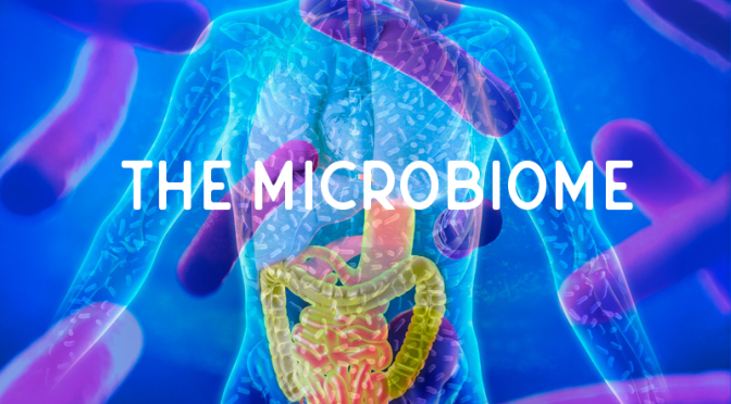 Health Infographics: “What Are Microbiomes?”