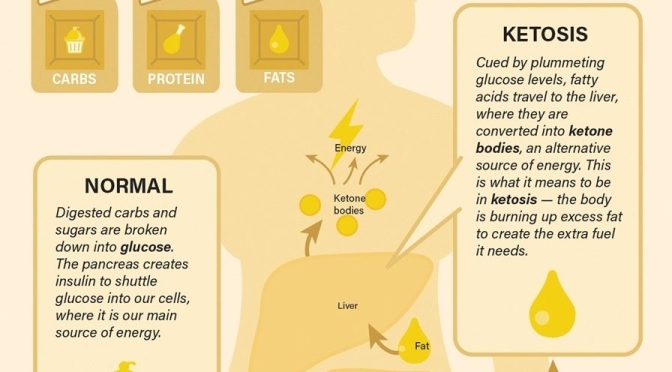 Healthy Diets: “The Science Behind Fasting – Ketosis” (Infographic)