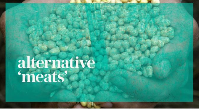 Future Of Food: An Inside Look At The Promise Of  “Alternative Meats” (Video)