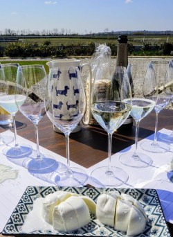 Visit Prosecco Italy Tasting Facebook Page