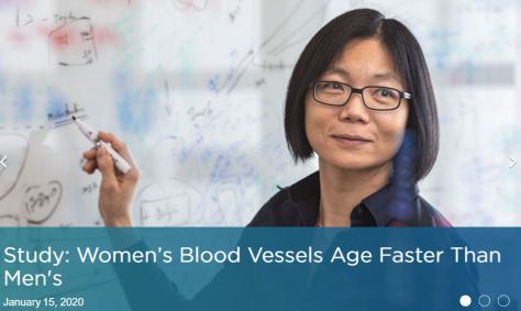 Women's Blood Vessels Age Faster Than Men;s Cedars-Sinai January 15 2020