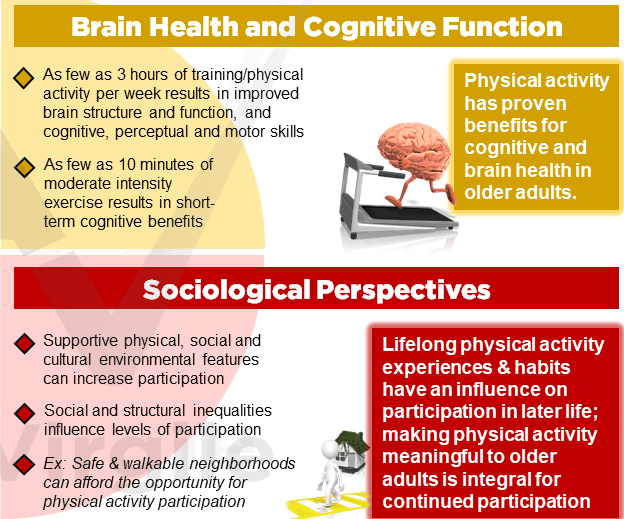Copenhagen Consensus statement 2019: physical activity and ageing