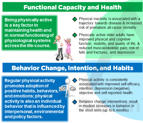 Copenhagen Consensus statement 2019: physical activity and ageing