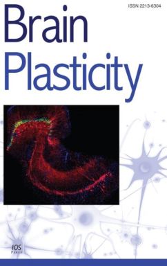 Brain Plasticity Journal 2020