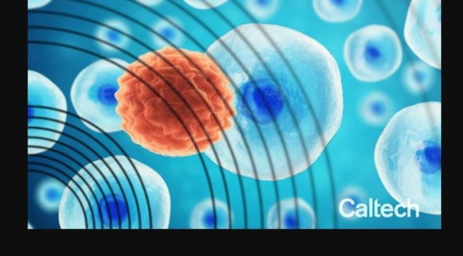 Research: CalTech Scientists Target Cancer Cells With Ultrasound