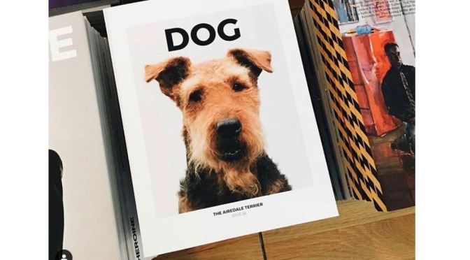 Podcast Interviews: “DOG” Magazine Editors Julian Victoria and Emily Rogers