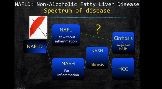 Obesity Risks: “Fatty Liver Disease – The Silent Epidemic” (UCSF Video)