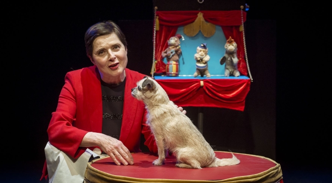 Podcast Interviews: 67-Year Old Actress And Author Isabella Rossellini On Her Love Of Animals