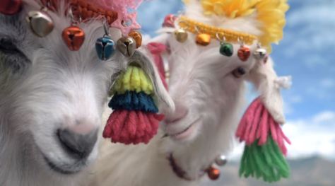 Out In The World Nepal - Tibet - Bhutan Travel Film by Carsan Choong February 2020