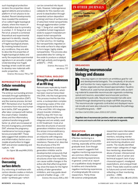 Research Highlights in Science Journal February 13 2020-page-1