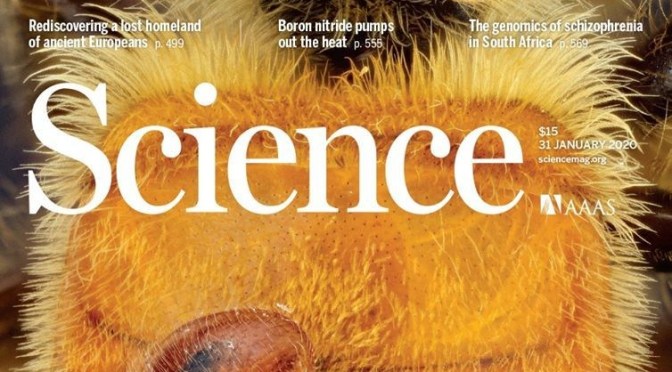 Journals: Latest Research Articles In “Science Magazine” (Jan 31 2020)
