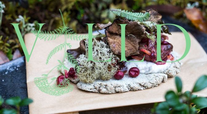 Podcast Profiles: Newly-Opened “Wild Food” Vegan Helsinki Restaurant “Villd” Chef Ossi Paloneva