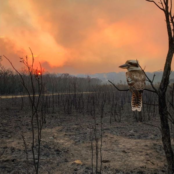 Adam Stevenson Australia National Award Winner 2020 Sony World Photography Awards