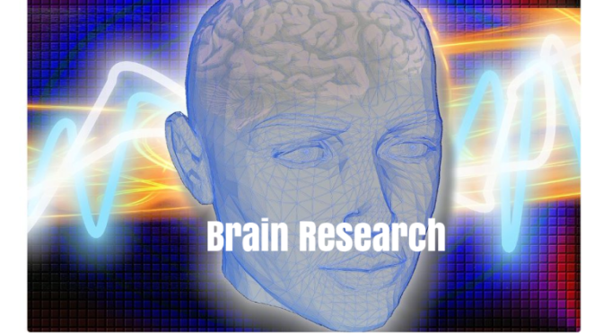 Studies: Elderly In 3rd Highest Level Of Exercise Reduce Brain Shrinkage, Aging By 4 Years (AAN)