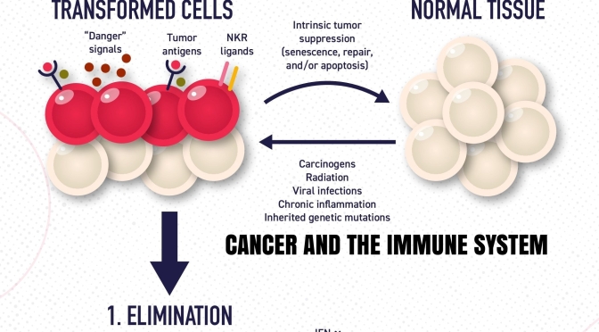 Infographics: “Cancer And The Immune System”
