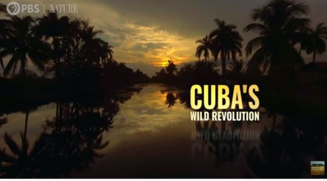 Wildlife Videos: “Cuba’s Wild Revolution” (PBS)