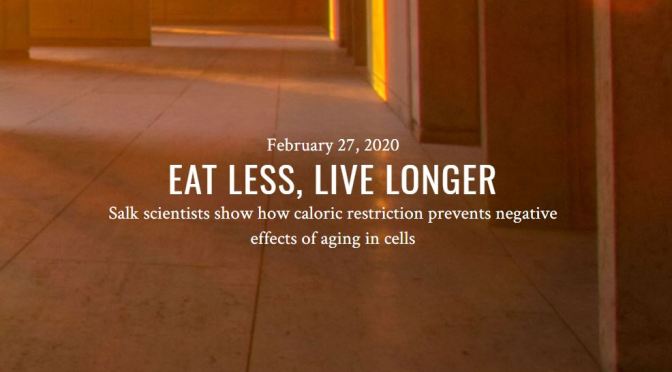 Diet Studies: “Eat Less, Live Longer” – Calorie Restriction Delays Age-Related Diseases (Salk)