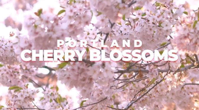 Top New Travel Videos: “Portland Cherry Blossoms” (March 2020)