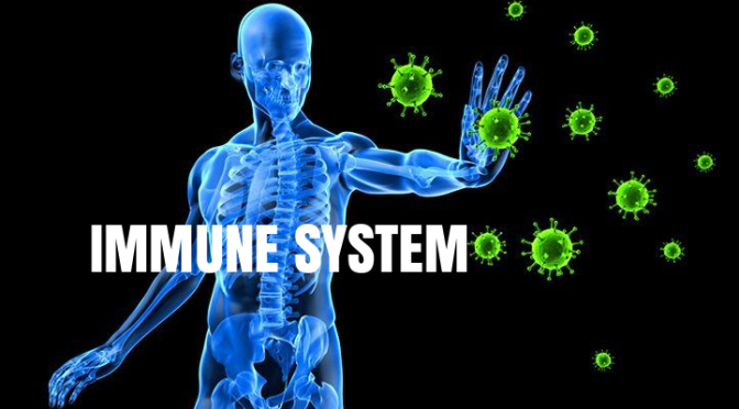 Health: “An Immune System For Our Microbial World” (Harvard Medical Video)