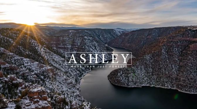 Top New Travel Videos: “Ashley National Forest” By The Pattiz Brothers