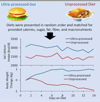 Ultra-Processed Diet and Unprocessed Diet Infographic