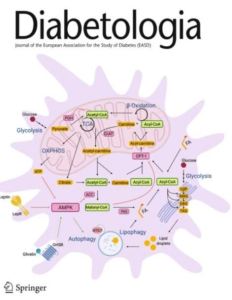 Diabetologia Journal