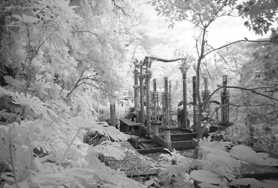 Jungle Xanadu - The Story of Las Pozas Short Film by Bob Krist March 26 2020