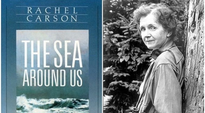 Literary Tribute: Rachel Carson “Dreams Of The Sea” (The New Yorker)