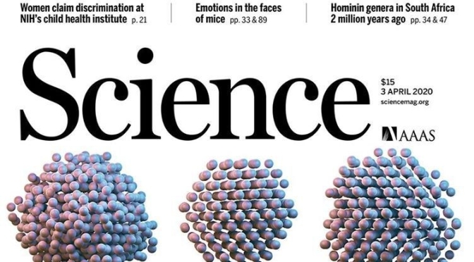 TOP JOURNALS: RESEARCH HIGHLIGHTS FROM SCIENCE MAGAZINE (April 3, 2020)