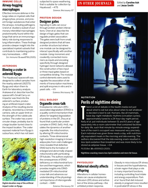Science Magazine Research Highlights April 3 2020 Page 2