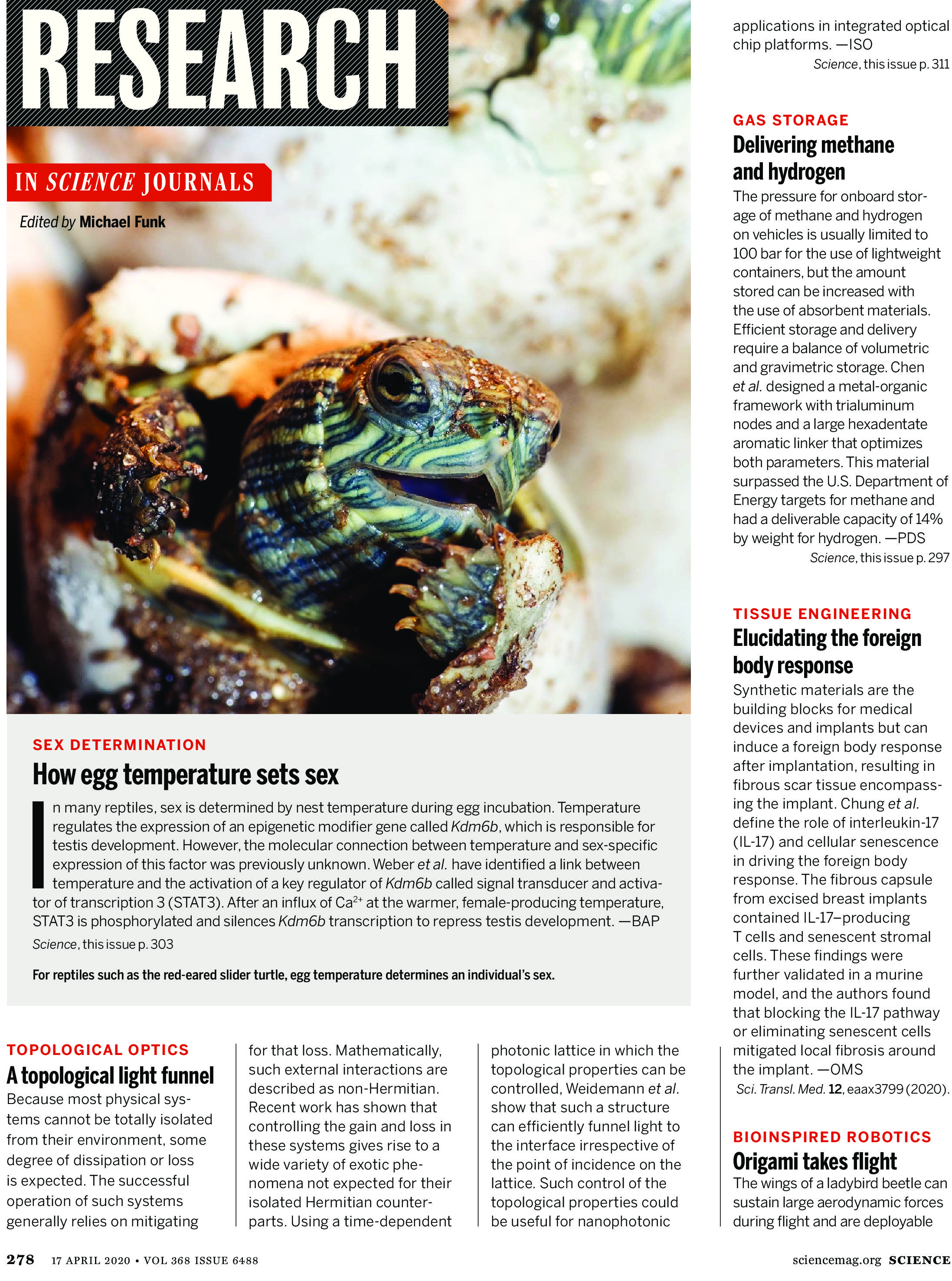 Science Magazine April 17 2020 Research Highlights Infographic