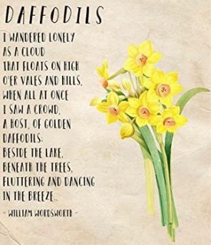 William Wordsworth Daffodils - I Wandered Lonely As A Cloud - Amazon photo