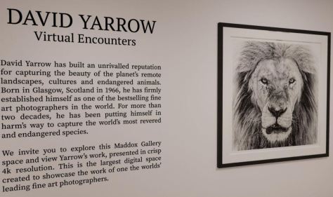 David Yarrow Virtual Encounters