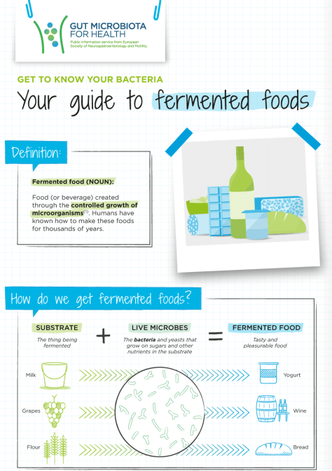 Guide To Fermented Foods Infographic