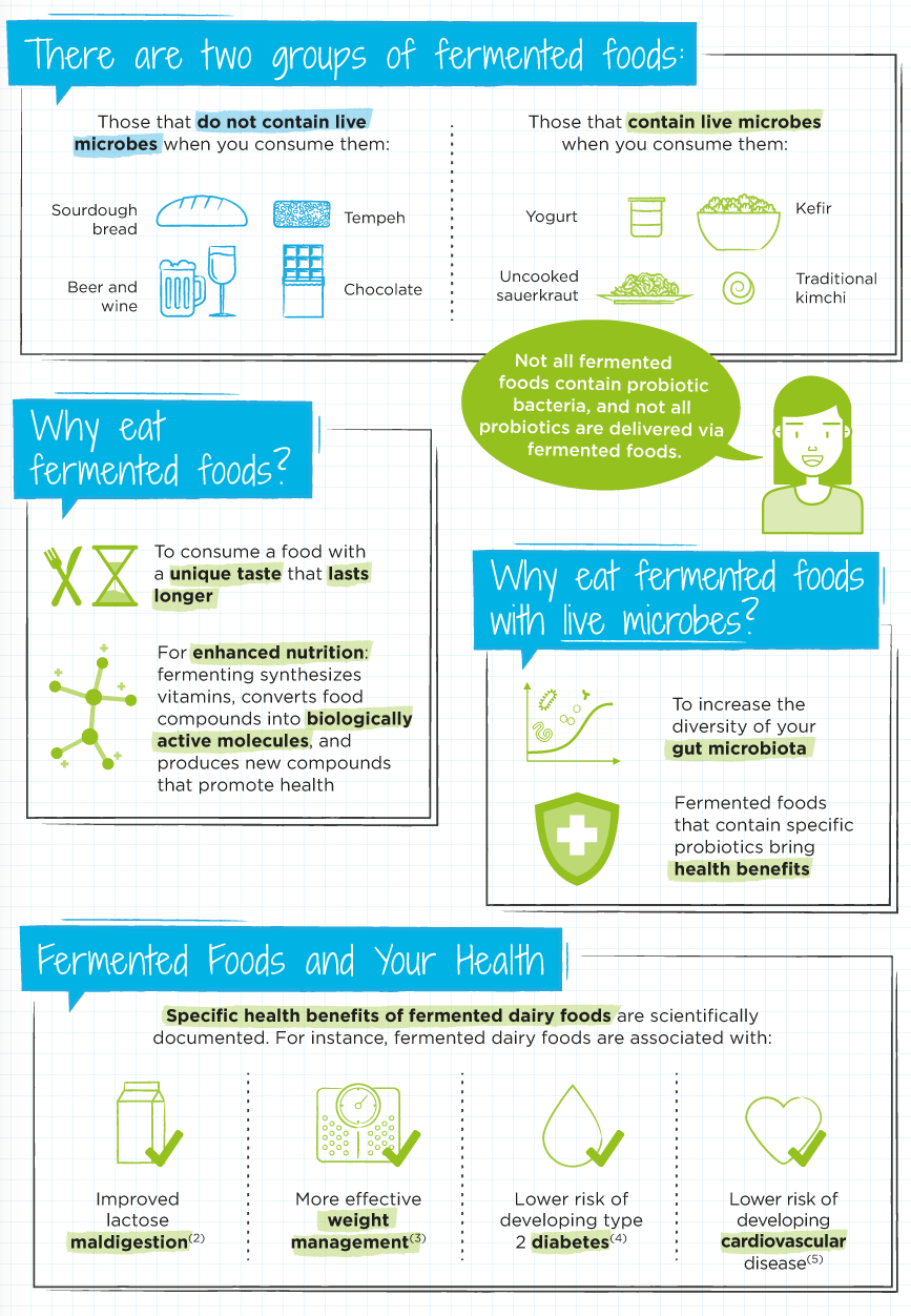 Guide To Fermented Foods Infographic