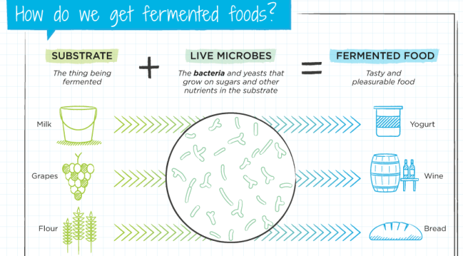 Infographics: “What Are, How We Get And Why Do We Eat Fermented Foods”