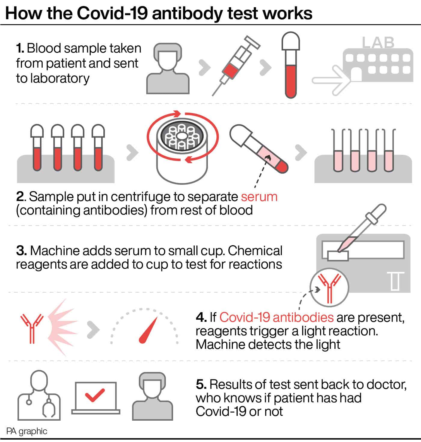 Infographic - How The Covid-19 Antibody Test Works