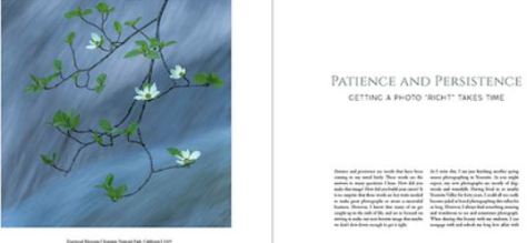 Light On The Landscape - William Neill 2020