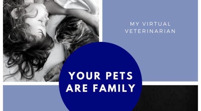 Future Of Pet Care: “My Virtual Veterinarian” – Smartphone Video And Chat Appointments App