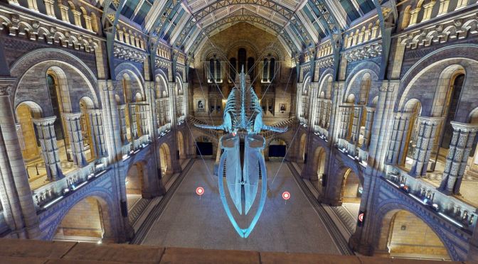 Online Travel: Natural History Museum, London  Launches 3D Virtual Tour
