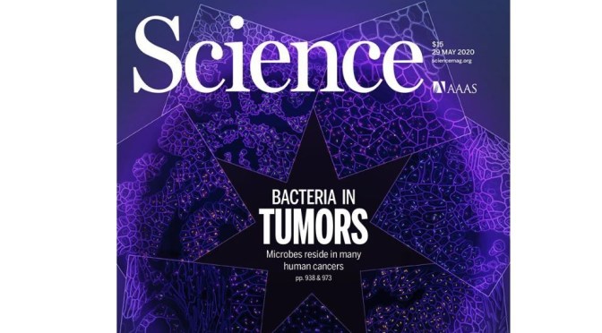 TOP JOURNALS: RESEARCH HIGHLIGHTS FROM SCIENCE MAGAZINE (MAY 29, 2020)
