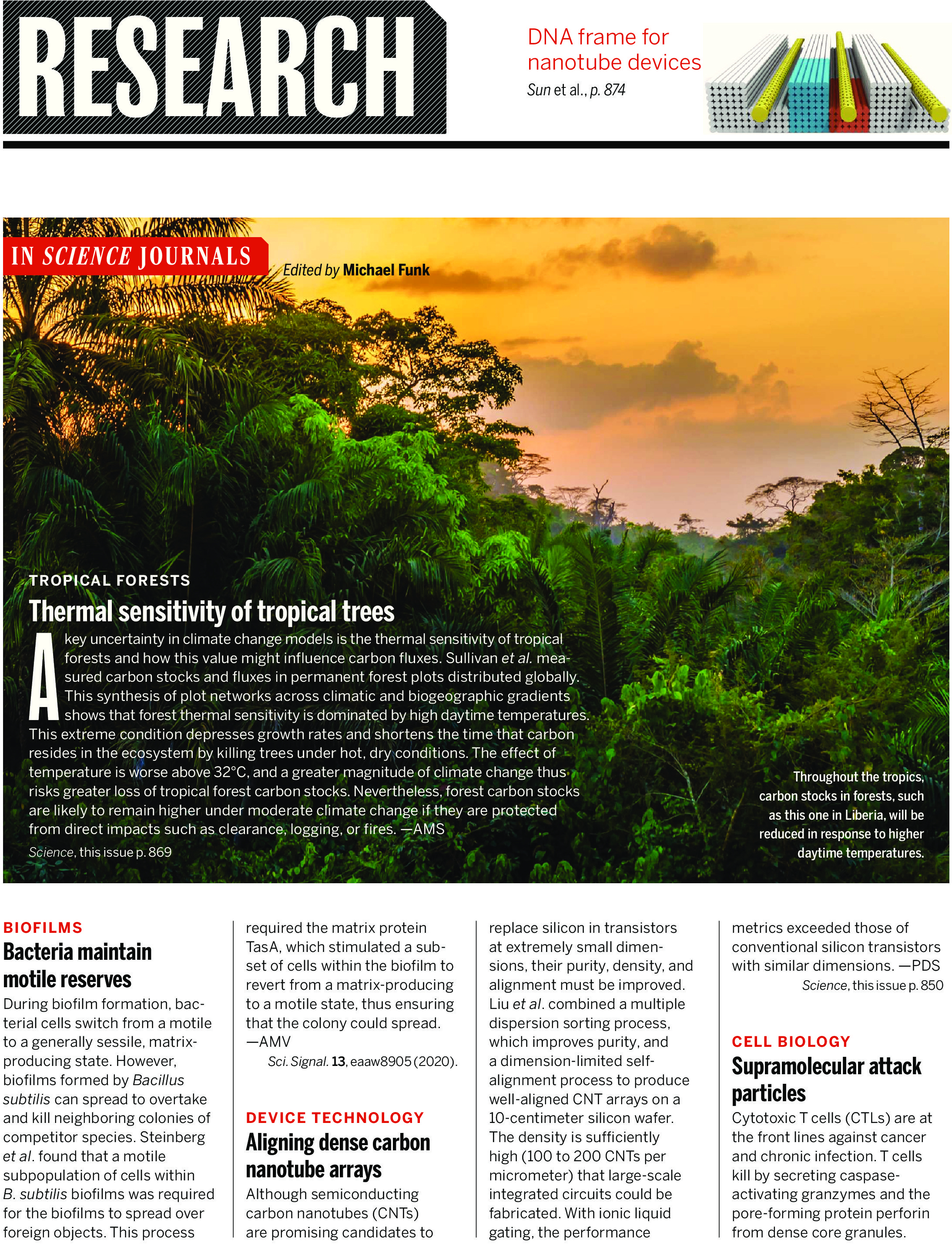 Science Magazine Research Highlights May 22 2020