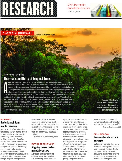 Science Magazine Research Highlights May 22 2020