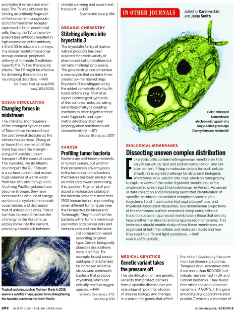 Science Magazine Research Highlights May 29 2020
