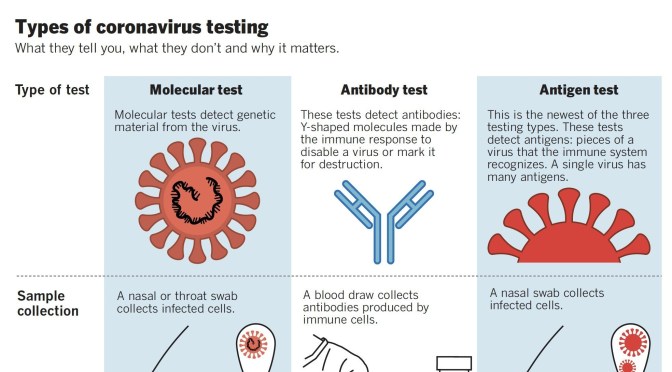 New Infographic: “Types Of Coronavirus Testing”