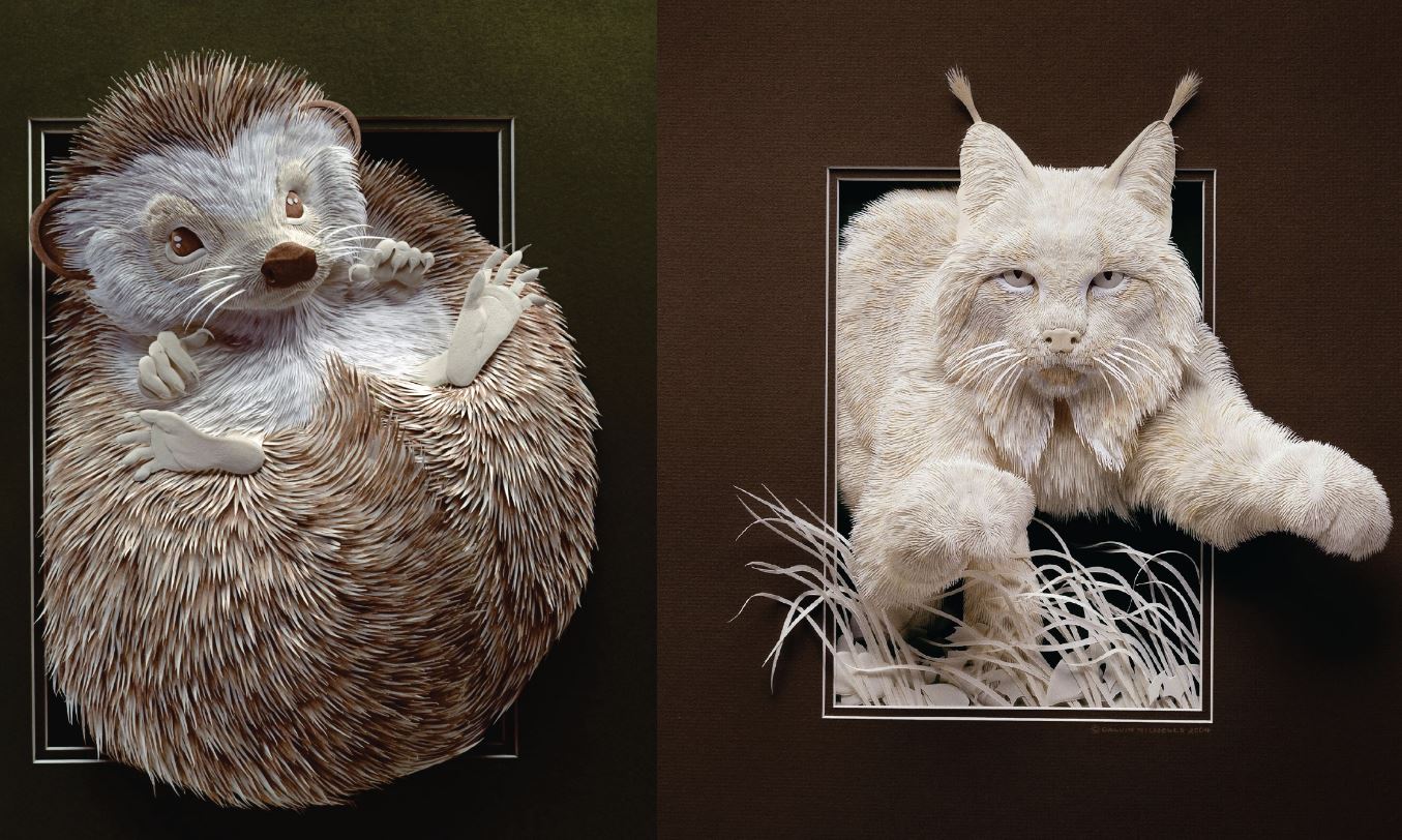 Wildlife Artist Calvin Nicholls - Arabella May 2020 issue