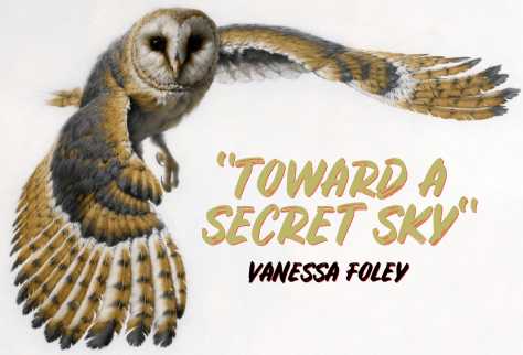 VANESSA FOLEY - TOWARD A SECRET SKY 
